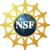 NSF